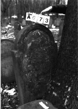 Grabstein 673