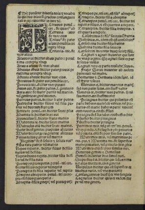 Hic ponu[n]tur diversa no[m]i[n]a [et] vocabula quibus diversi gradus consanguinitatis exprimuntur in iure [et]c.