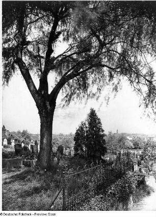 Ansicht mit Grabmalen (2. H. 19. Jh.)