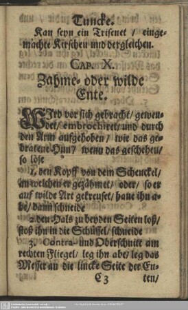 Cap. X. Zahme- oder wilde Ente