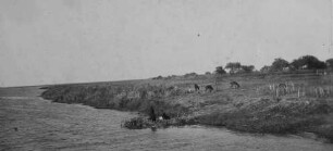 Ufer des Weißen Nils bei Rom im Südsudan [Reise nach dem Sudan, Band 1]