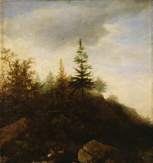 Kleine Felslandschaft