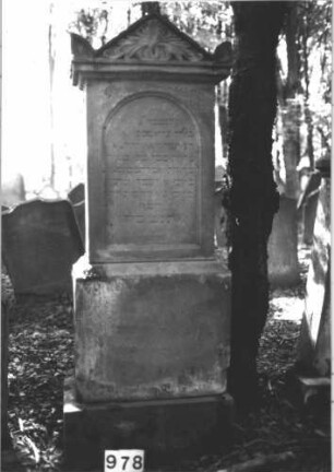 Grabstein 978 (Index: 99899523) Material: Sandstein Zustand: teilweise stark verwittert Maße HxBxT: 188x66x32 cm Beschreibung: aufgesockelte Stele mit Giebelaufsatz, Eckakroterien, Giebelfeld mit Akanthus Symbolik: Akanthus: Grabstein 978