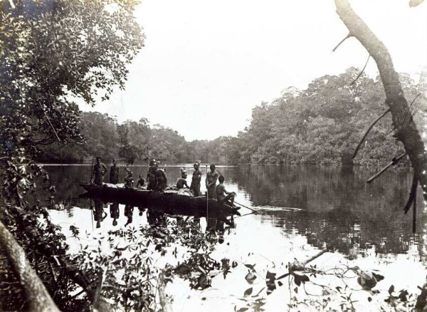 "Imuto-Karau in den Mangrove-Lagunen"