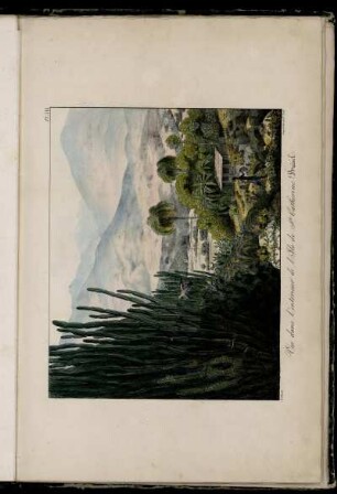 Pl. III. Vue dans l'intérieur de l'Île de Ste Catherine (Brésil)