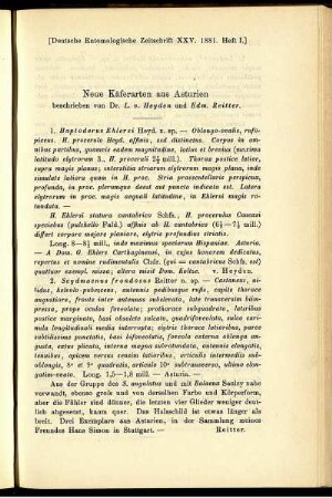 Neue Käferarten aus Asturien