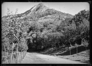 Blick zum Jenzig