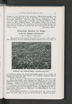 Botanische Studien bei Eutin.