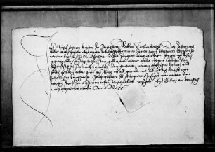Michel Scherer, Bürger zu Stuttgart, quittiert über 3 fl., die ihm Graf Eberhard d. J. von seiner Arbeit wegen schuldete.
