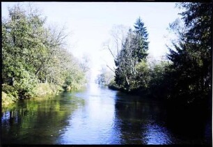 Donaueschingen: junge Donau