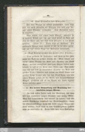 5. Die weitere Behandlung und Erziehung der veredelten jungen Bäume.