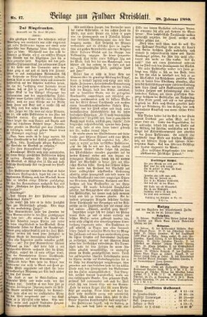 Zweite Ausgabe vom Samstag, den 28. Februar 1880.