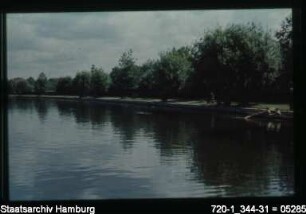 Alster, Uferbefestigung