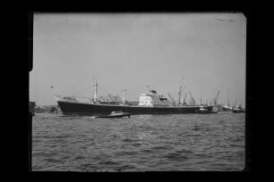 Belgrano (1953), Frachtschiff, HSDG, Hamburg, Bau-Nr. 435