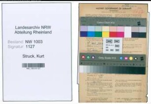 Entnazifizierung Kurt Struck , geb. 08.11.1919 (Polsterer)