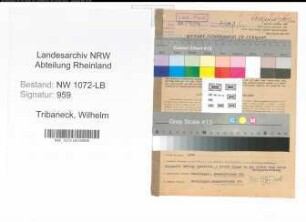 Entnazifizierung Wilhelm Tribaneck , geb. 18.06.1890 (Postbeamter)
