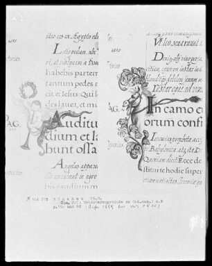 Erläuterungsbände zu den Bußpsalmen des Orlando di Lassos und den Motetten des Cyprian de Rore — Pferdekopf