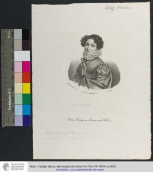 [Amalie Wolff] / Y. v. Seydlitz del. ; Brauns fec.
