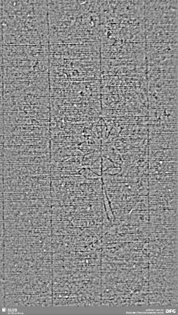 Wasserzeichen S.21_22