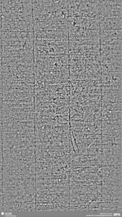 Wasserzeichen S.21_22