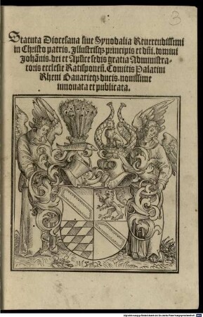 Statuta Diocesana siue Synodalia Reuerendissimi in Christo patris. Jllustrisq[ue] principis et d[omi]ni. domini Johan[n]is. dei et Ap[osto]lice sedis gratia Administratoris ecclesie Ratisponen[sis]. Comitis Palatini Rheni Bauarieq[ue] ducis. : nouissime innouata et publicata