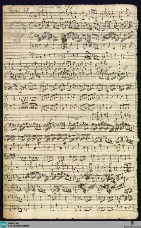 Symphonies - Mus. Hs. 573 : orch; C; BrinzingMWV 7.85