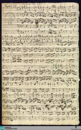 Symphonies - Mus. Hs. 573 : orch; C; BrinzingMWV 7.85
