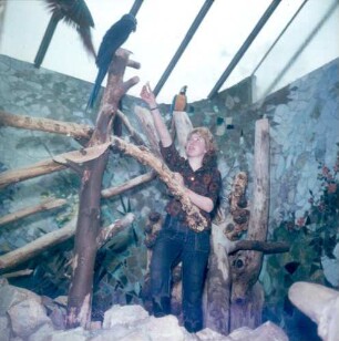 Frankfurt (Main). Zoo. Tierpflegerin im Vogelhaus mit Papageien