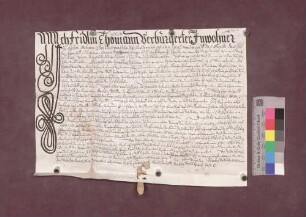 Fridlin Thomann zu Eichen ist der Kirchenpflege zu Schopfheim 20 Gulden schuldig.