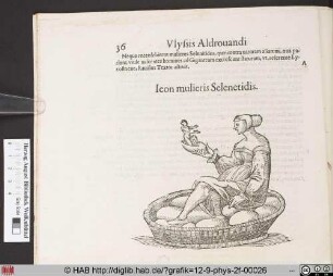 Icon mulieris Selenetidis.