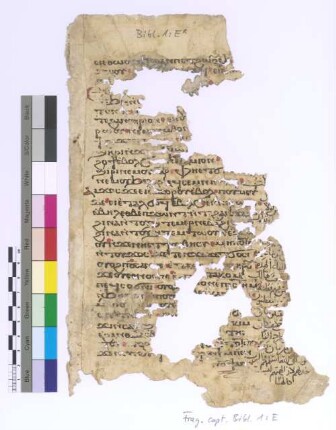 Pentateuch Deuteronomy XXXII, 23 - 31