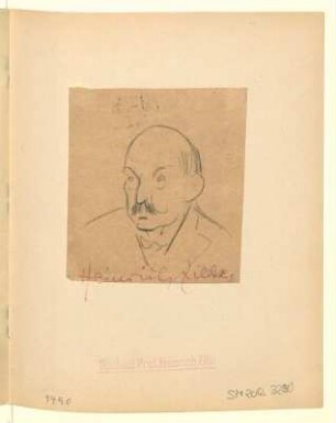 Kopf eines Mannes mit Halbglatze