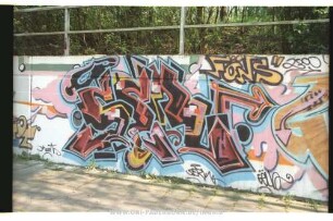 SER FÖNS" | Kaots SERM | 2000