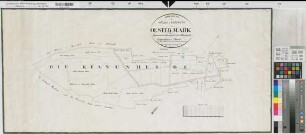 Marienfeld (Harsewinkel), Teilung der Oester Mark, Reinkarte Bl. 2 Kranen Heide