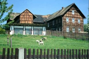 Dreiseitenhof, Backsteinbauten mit Fachwerk; vorn Schafe im Garten
