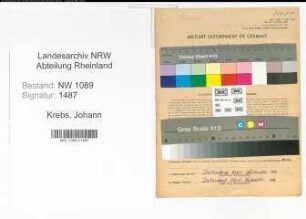 Entnazifizierung Johann Krebs , geb. 12.01.1913 (Oberbrandmeister)