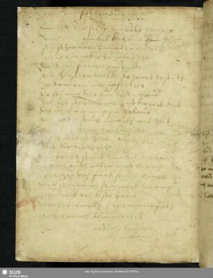 Wolf Wagner. 1556.