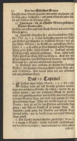 Das 19. Capittel.