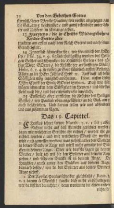 Das 19. Capittel.