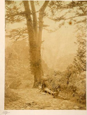 Hatta. Auf dem Weg nach Hakone