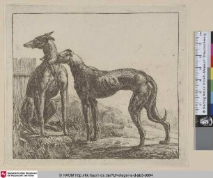 [Zwei Windhunde und ein schlafender Hund; Two Greyhounds and a Third Dog Sleeping; Le deux levriers]