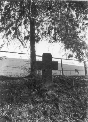 Steinkreuz : Pirna, Steinkreuz mit eingehauenem Tatzenkreuz, östlich der Zehister Straße