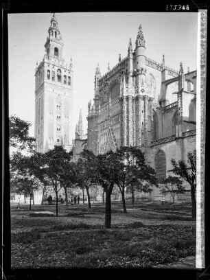 Sevilla: Orangenhof m. Kath. u. Giralda