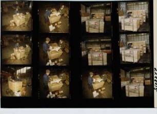 Logistics Services, 1981