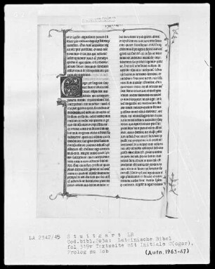 Lateinische Bibel, drei Bände — Initiale C (ogor), Folio 319verso