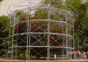 Dresden-Pillnitz, Schlosspark Pillnitz. Besucher an der Kamelie mit offenem Schutzhaus