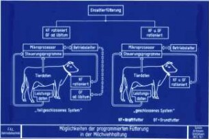 Möglichkeiten der programmierten Fütterung in der Milchviehhaltung