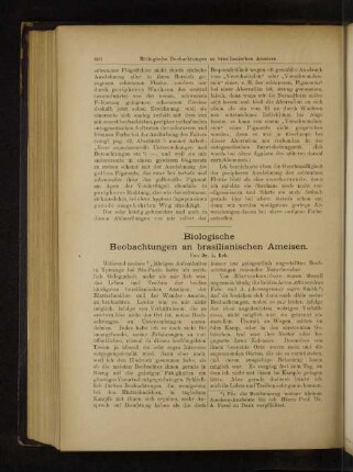 Biologische Beobachtungen an brasilianischen Ameisen.
