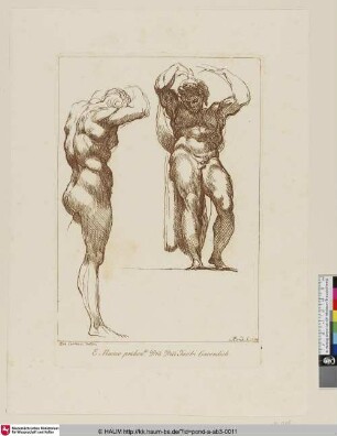 [Studie zu zwei männlichen Catyatiden; Studies of a standing man]