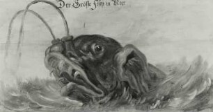 Der Gröste Fisch in Meer